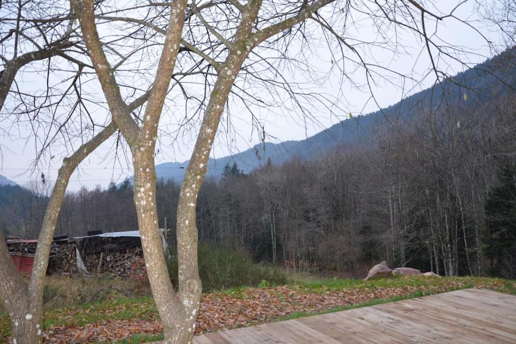 A La Cheneau Villa Rochesson Exterior photo